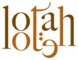 software development dubai